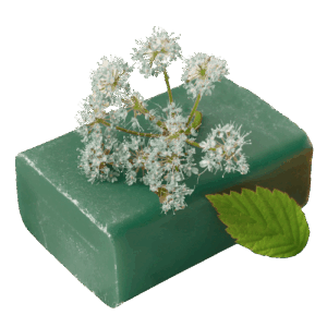 Coconut Lemongrass Soap Bar