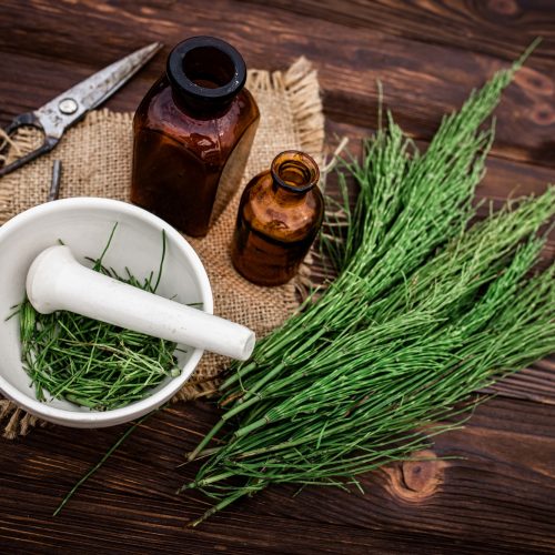 Apothecary mortar with dry medicinal herbs horse tail. Equisetum, horsetail, snake grass, oil for