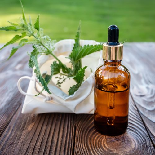 Collection of fresh nettle for the manufacture of essence and tincture for a beauty salon